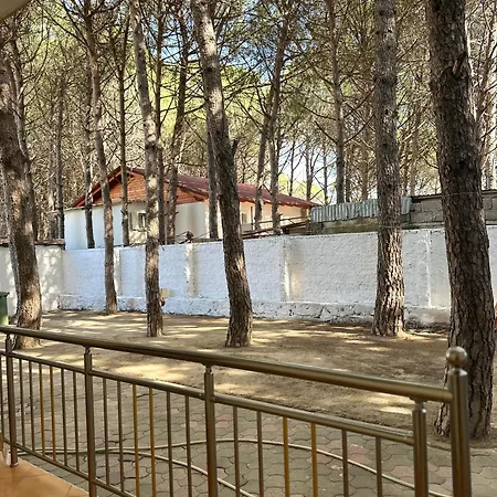 Lägenhet Casa Vacanze Velipojë
